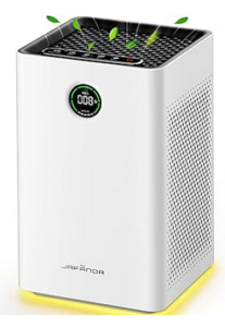 Budget Air Purifier Reviews