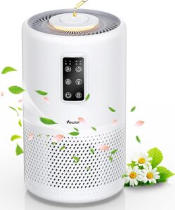 Budget Air Purifiers Reviews